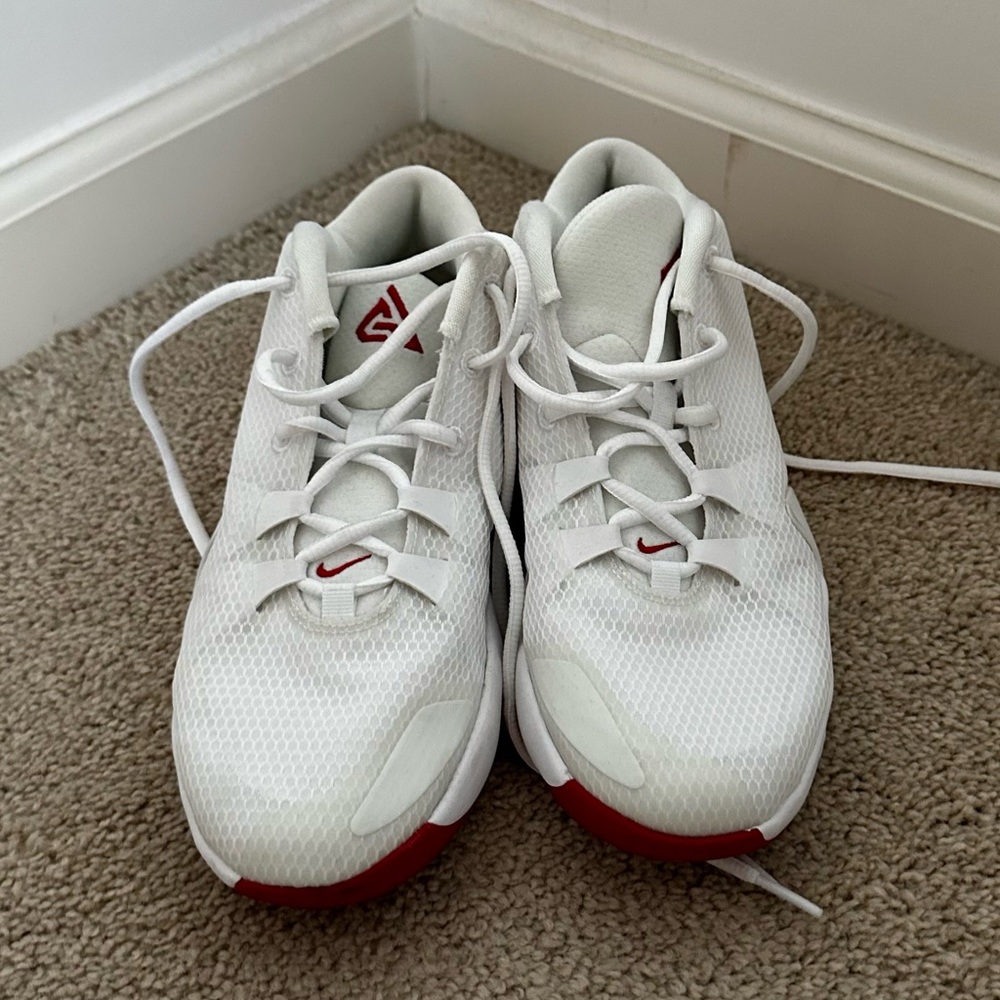 NIKE ZOOM FREAK 1 “Roses” basketball shoes